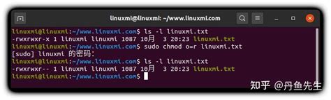 【干货】Linux 修改权限命令 chmod 用法示例 .